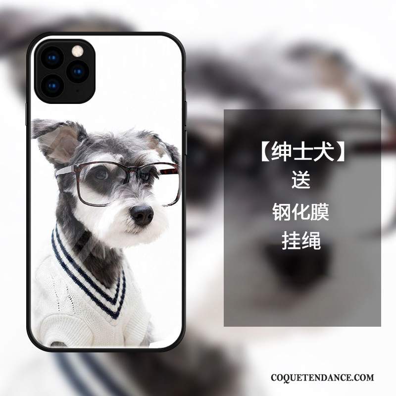 iPhone 11 Pro Coque Protection Blanc Mode De Téléphone Amoureux