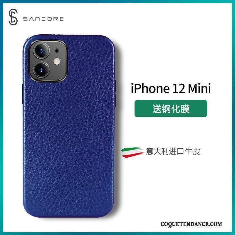 iPhone 12 Mini Coque Cuir Violet Protection Tendance Net Rouge