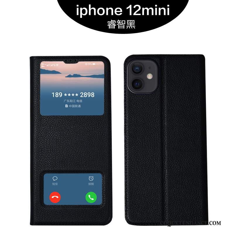 iPhone 12 Mini Coque Luxe Étui En Cuir Tout Compris Cuir Véritable De Téléphone