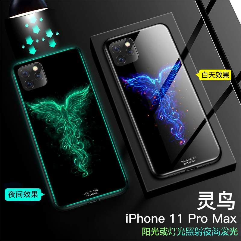 iPhone 11 Pro Max Coque Étui Lumineuses Nouveau Noir Très Mince