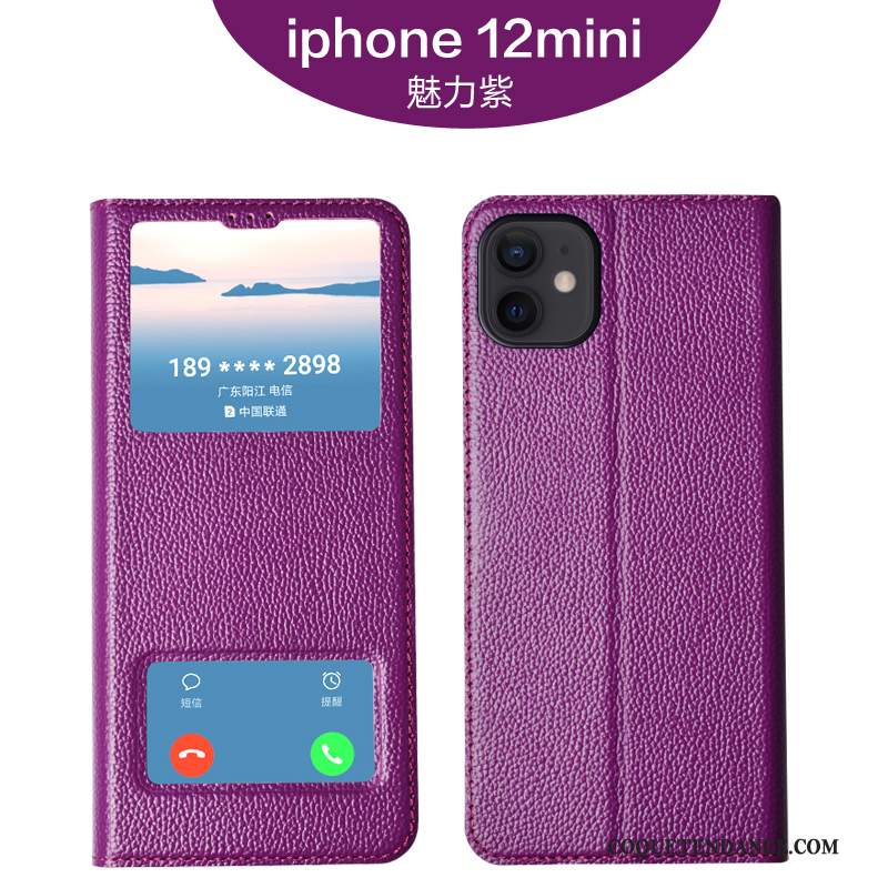 iPhone 12 Mini Coque Luxe Étui En Cuir Tout Compris Cuir Véritable De Téléphone