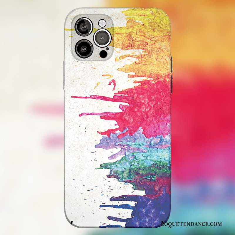 iPhone 12 Pro Max Coque Très Mince Multicolore Difficile Étui